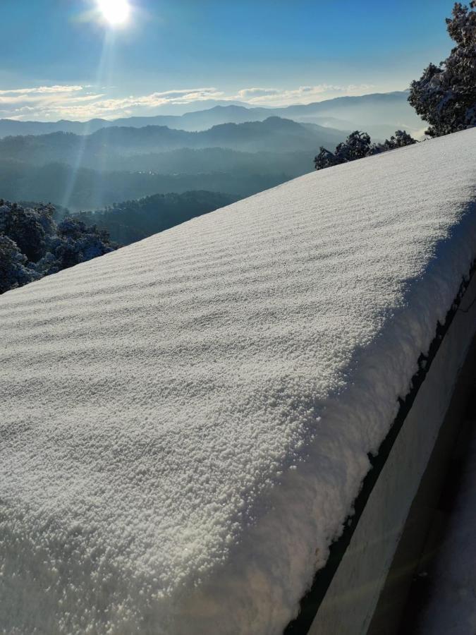 Residence Inn Homestay Shimla Dış mekan fotoğraf