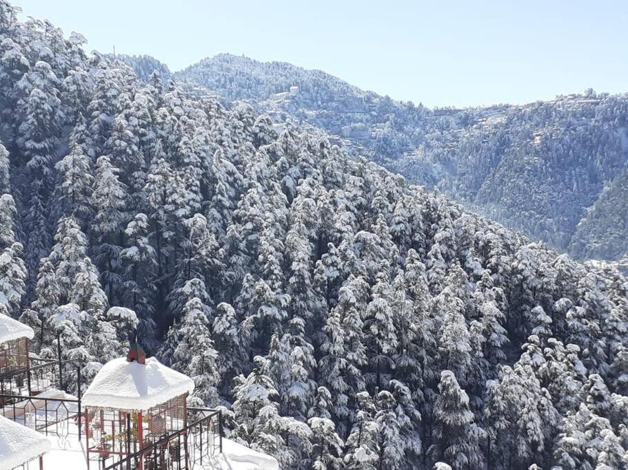 Residence Inn Homestay Shimla Dış mekan fotoğraf
