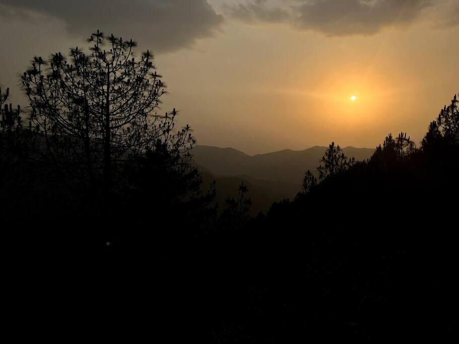 Residence Inn Homestay Shimla Dış mekan fotoğraf