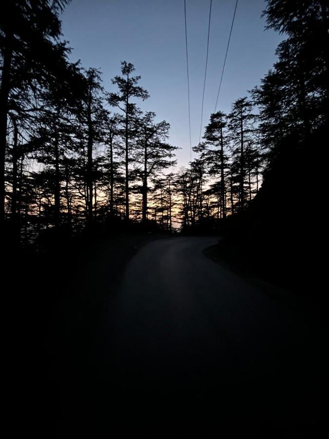 Residence Inn Homestay Shimla Dış mekan fotoğraf